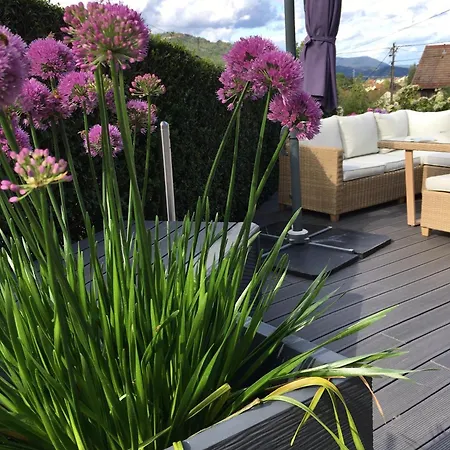 Apartmán Les Magnolias En Alsace - Meuble De Tourisme 3 Etoiles Barembach