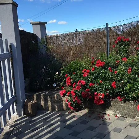 Apartmán Les Magnolias En Alsace - Meuble De Tourisme 3 Etoiles Barembach