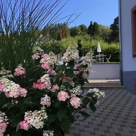 Les Magnolias En Alsace - Meuble De Tourisme 3 Etoiles Lejlighed *