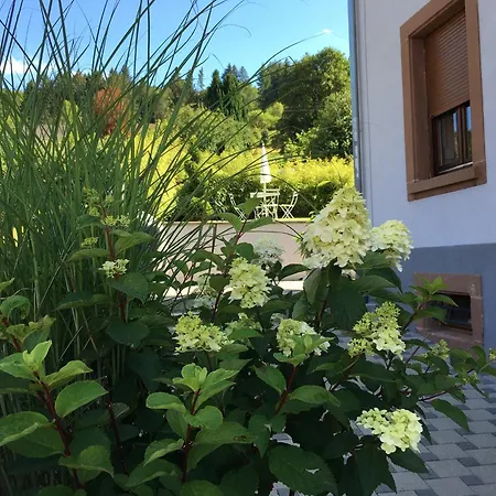 Les Magnolias En Alsace - Meuble De Tourisme 3 Etoiles *