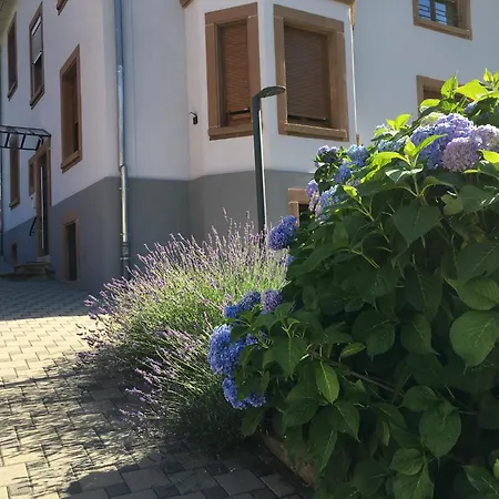 Apartmán Les Magnolias En Alsace - Meuble De Tourisme 3 Etoiles