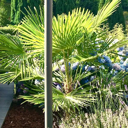 Les Magnolias En Alsace - Meuble De Tourisme 3 Etoiles Apartmán *