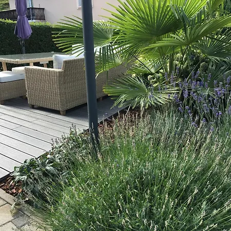 Les Magnolias En Alsace - Meuble De Tourisme 3 Etoiles Apartmán Barembach