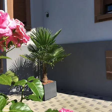 Les Magnolias En Alsace - Meuble De Tourisme 3 Etoiles