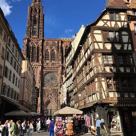 Les Magnolias En Alsace - Meuble De Tourisme 3 Etoiles Lejlighed