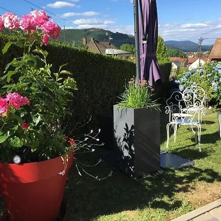 Les Magnolias En Alsace - Meuble De Tourisme 3 Etoiles Apartmán