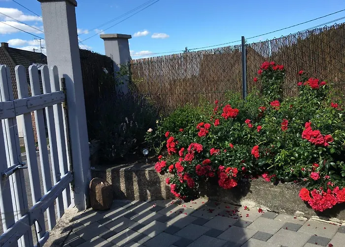 Apartment Les Magnolias En Alsace - Meuble De Tourisme 3 Etoiles Barembach