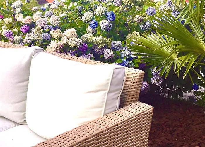 Les Magnolias En Alsace - Meuble De Tourisme 3 Etoiles