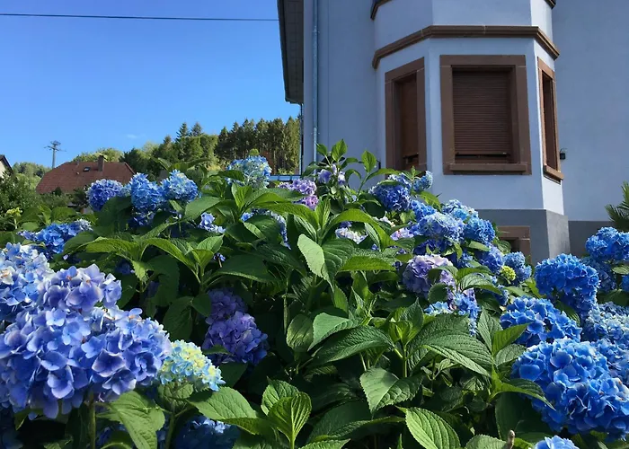 Les Magnolias En Alsace - Meuble De Tourisme 3 Etoiles Apartment