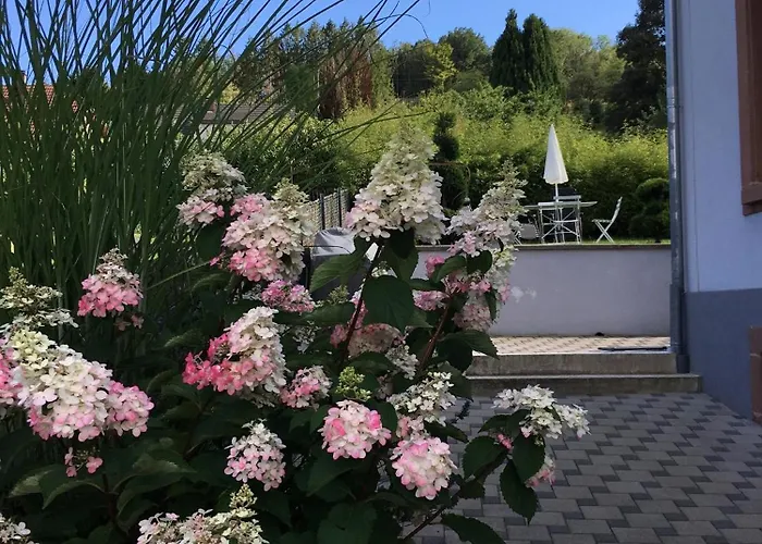 Les Magnolias En Alsace - Meuble De Tourisme 3 Etoiles Apartment *