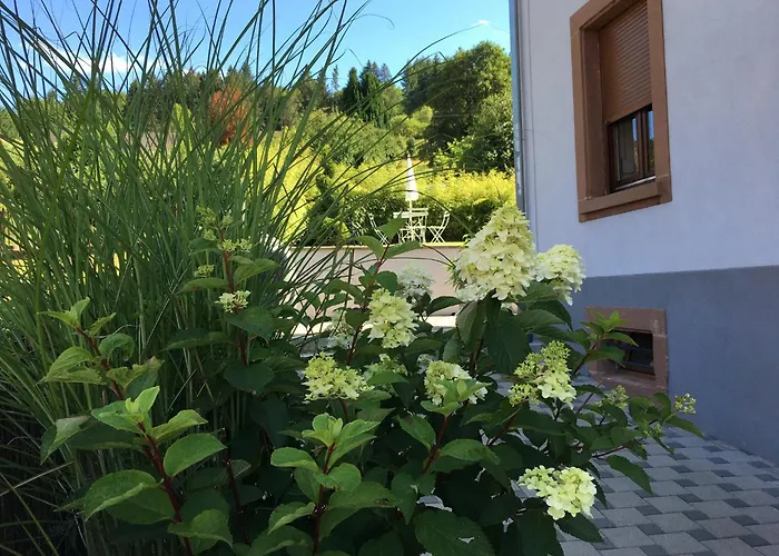 Les Magnolias En Alsace - Meuble De Tourisme 3 Etoiles *