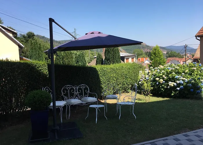 Les Magnolias En Alsace - Meuble De Tourisme 3 Etoiles Apartment