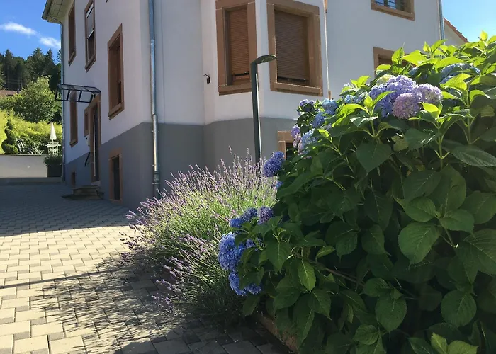 Apartment Les Magnolias En Alsace - Meuble De Tourisme 3 Etoiles