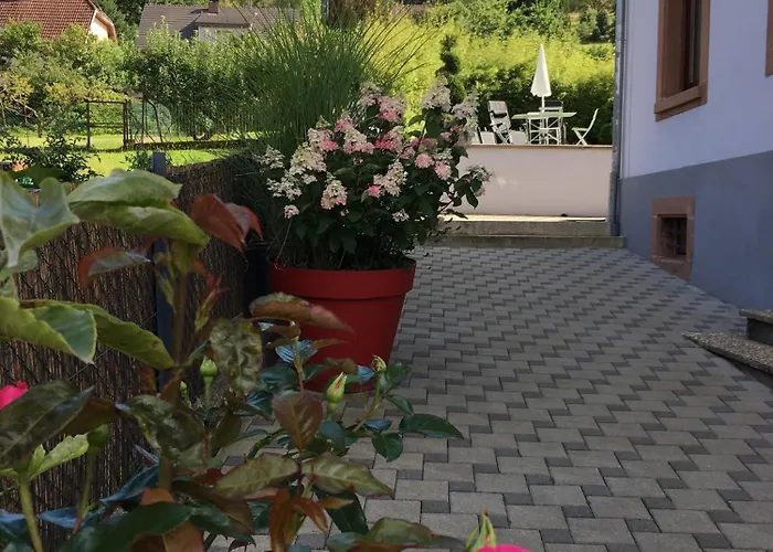 Les Magnolias En Alsace - Meuble De Tourisme 3 Etoiles Barembach