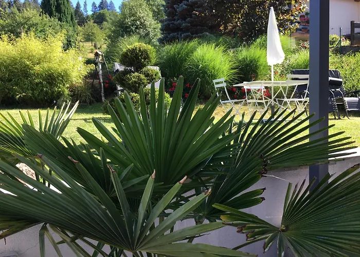 Les Magnolias En Alsace - Meuble De Tourisme 3 Etoiles