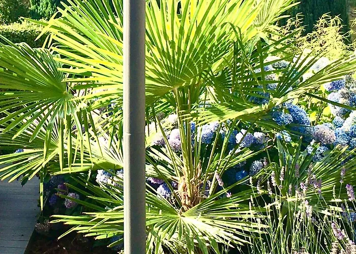 Les Magnolias En Alsace - Meuble De Tourisme 3 Etoiles Apartment *