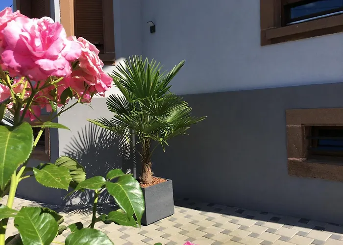 Les Magnolias En Alsace - Meuble De Tourisme 3 Etoiles