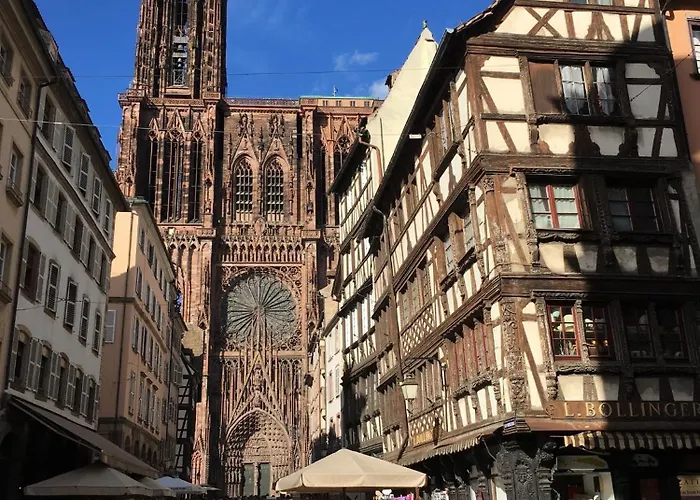 Les Magnolias En Alsace - Meuble De Tourisme 3 Etoiles Apartment