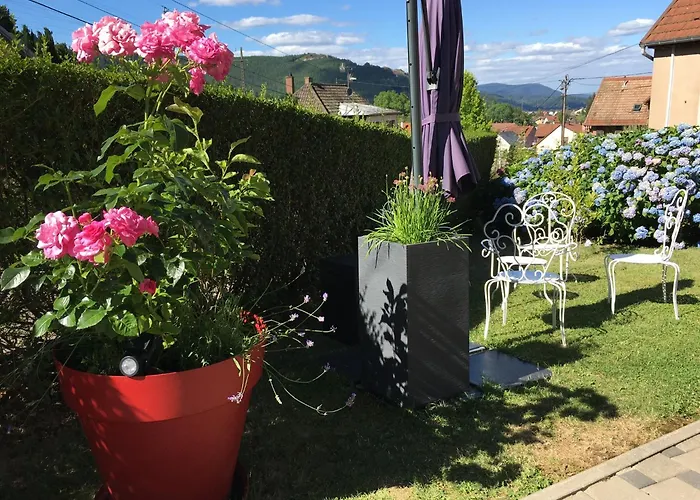 Les Magnolias En Alsace - Meuble De Tourisme 3 Etoiles Apartment