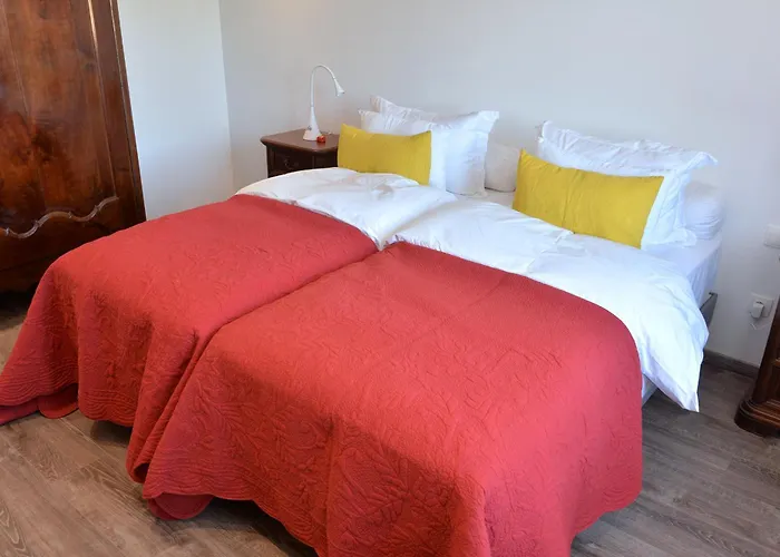 Les Magnolias En Alsace - Meuble De Tourisme 3 Etoiles Apartment Barembach